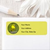 Orchard Oriole - Original Foto (Insitu)