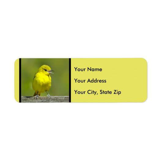 Orchard Oriole - Original Foto (Vorne)