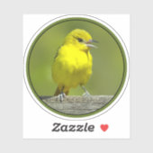 Orchard Oriole - Original Foto Aufkleber (Blatt)