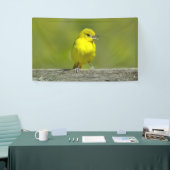 Orchard Oriole - Original Foto Banner (Messeveranstaltung)