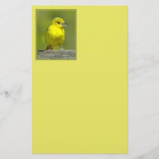 Orchard Oriole - Original Foto Briefpapier (Vorderseite)