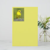 Orchard Oriole - Original Foto Briefpapier (Stehend Vorderseite)