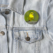 Orchard Oriole - Original Foto Button (Beispiel)