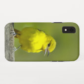 Orchard Oriole - Original Foto Case-Mate iPhone Hülle (Rückseite (Horizontal))
