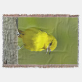 Orchard Oriole - Original Foto Decke (Vorderseite)