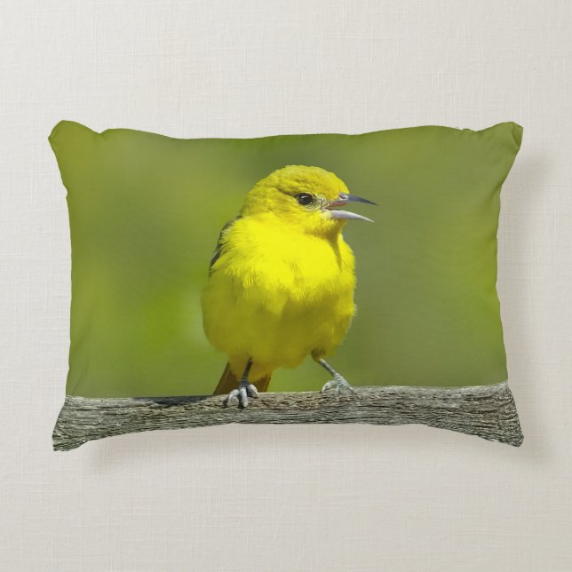 Orchard Oriole - Original Foto Dekokissen (Vorderseite)
