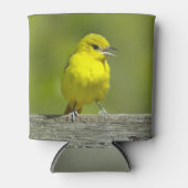 Orchard Oriole - Original Foto Dosenkühler (Vorderseite)