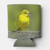 Orchard Oriole - Original Foto Dosenkühler (Rückseite)