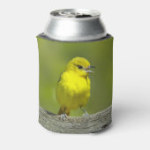 Orchard Oriole - Original Foto Dosenkühler (Kanne Rückseite)