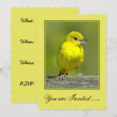 Orchard Oriole - Original Foto Einladung (Vorne/Hinten)