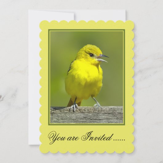 Orchard Oriole - Original Foto Einladung (Vorderseite)