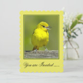 Orchard Oriole - Original Foto Einladung (Stehend Vorderseite)