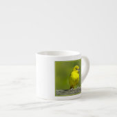 Orchard Oriole - Original Foto Espressotasse (Vorderseite Rechts)