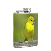 Orchard Oriole - Original Foto Flachmann (Rechts)