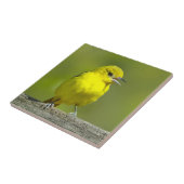 Orchard Oriole - Original Foto Fliese (Seite)