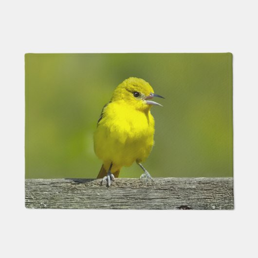 Orchard Oriole - Original Foto Fußmatte (Vorderseite)