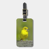 Orchard Oriole - Original Foto Gepäckanhänger (Vorderseite vertikal)