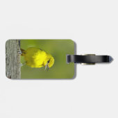 Orchard Oriole - Original Foto Gepäckanhänger (Rückseite horizontal)
