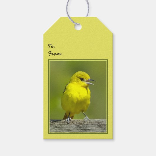 Orchard Oriole - Original Foto Geschenkanhänger (Vorderseite)