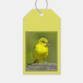 Orchard Oriole - Original Foto Geschenkanhänger (Rückseite)