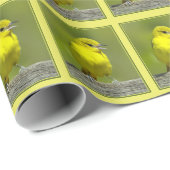 Orchard Oriole - Original Foto Geschenkpapier (Rolleneckpunkt)