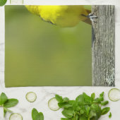 Orchard Oriole - Original Foto Geschirrtuch (Gefaltet)