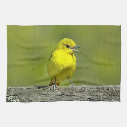 Orchard Oriole - Original Foto Geschirrtuch (Horizontal)