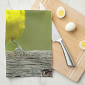 Orchard Oriole - Original Foto Geschirrtuch (Viertel Falte)
