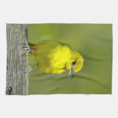 Orchard Oriole - Original Foto Geschirrtuch (Horizontal)