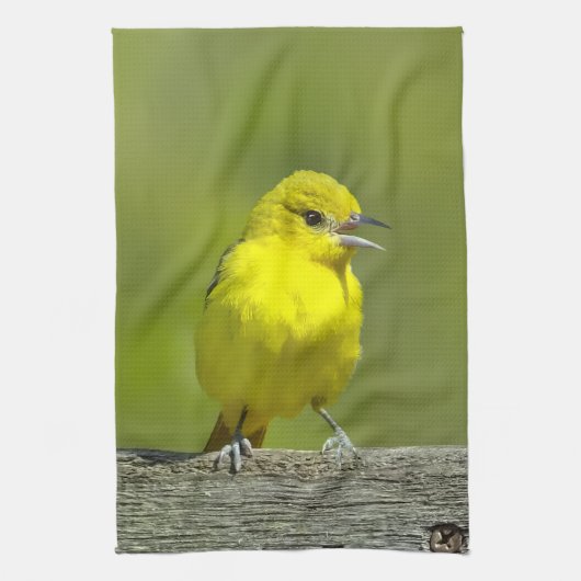 Orchard Oriole - Original Foto Geschirrtuch (Vertikal)