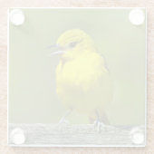 Orchard Oriole - Original Foto Glasuntersetzer (Rückseite)