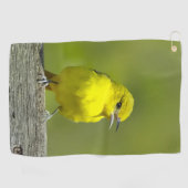 Orchard Oriole - Original Foto Golfhandtuch (Horizontal)