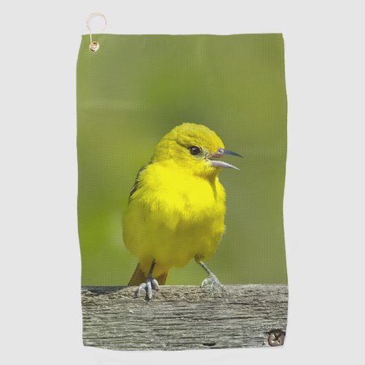 Orchard Oriole - Original Foto Golfhandtuch (Vorderseite)