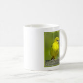 Orchard Oriole - Original Foto Kaffeetasse (VorderseiteRechts)