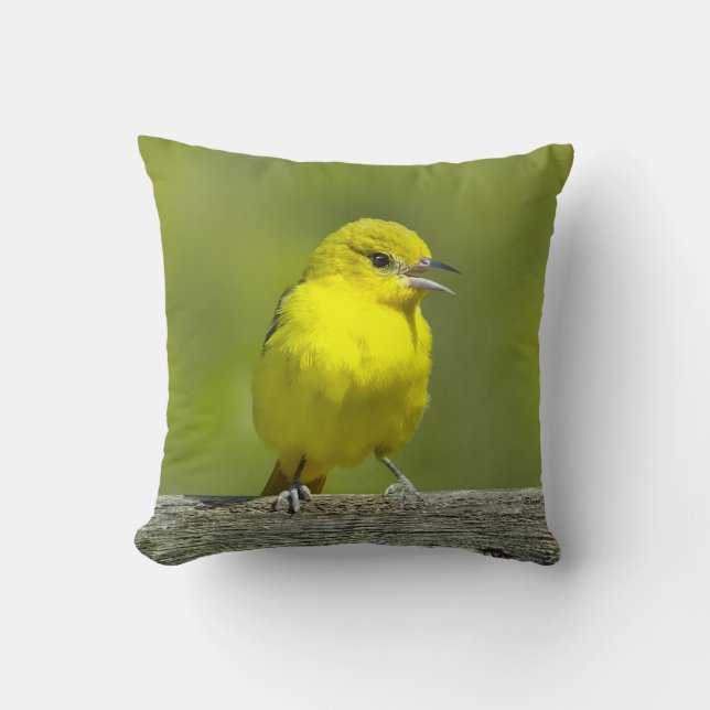 Orchard Oriole - Original Foto Kissen (Vorderseite)