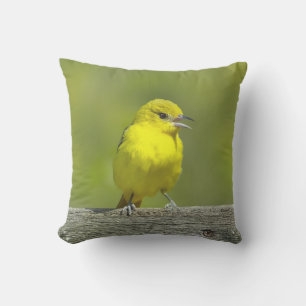 Orchard Oriole - Original Foto Kissen