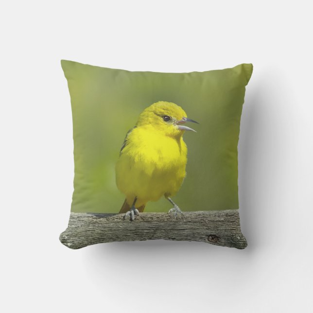 Orchard Oriole - Original Foto Kissen (Vorderseite)