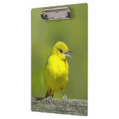 Orchard Oriole - Original Foto Klemmbrett (Links)