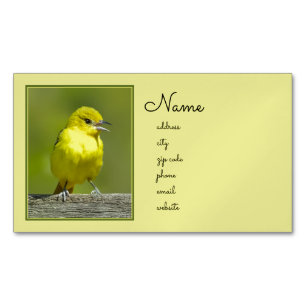 Orchard Oriole - Original Foto Magnetische Visitenkarte