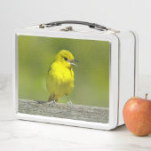 Orchard Oriole - Original Foto Metall Brotdose (Beispiel)