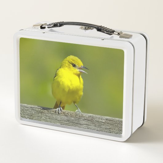 Orchard Oriole - Original Foto Metall Brotdose (Rückseite)