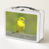 Orchard Oriole - Original Foto Metall Brotdose (Vorderseite)