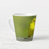 Orchard Oriole - Original Foto Milchtasse (Linke Ecke)