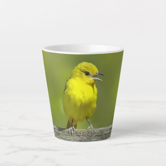 Orchard Oriole - Original Foto Milchtasse (Vorderseite)
