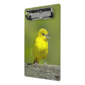 Orchard Oriole - Original Foto Mini Klemmbrett (Gewinkelt2)