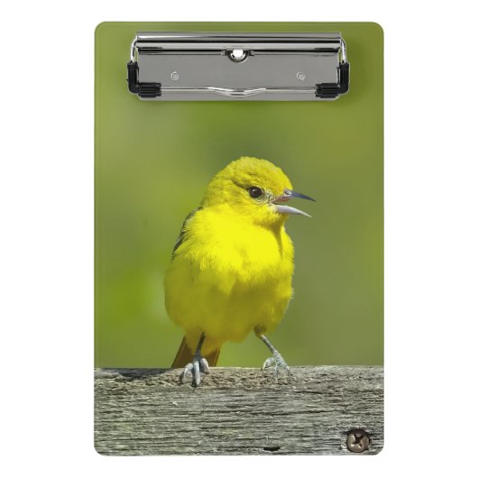 Orchard Oriole - Original Foto Mini Klemmbrett (Vorderseite)