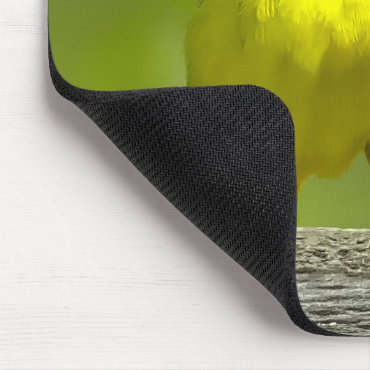 Orchard Oriole - Original Foto Mousepad (Ecke)