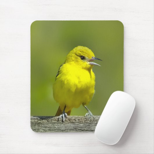 Orchard Oriole - Original Foto Mousepad (Mit Mouse)