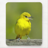 Orchard Oriole - Original Foto Mousepad (Vorne)