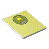 Orchard Oriole - Original Foto Notizblock (angewinkelt)